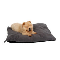 51 Degrees North Sheep Hundekissen -Hundebedarfs Geschäft 51 degrees north sheep hondenkussen 141479 0500 none