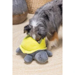 Beeztees Hide And Seek Schildo -Hundebedarfs Geschäft beeztees hide and seek schildo 221788 0500 none