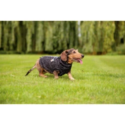 Beeztees Hundepullover Celia -Hundebedarfs Geschäft beeztees hondentrui celia 219140 0500 none