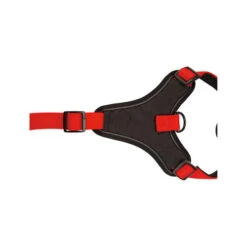 Beeztees Parinca Premium Y-Geschirr -Hundebedarfs Geschäft beeztees parinca premium y tuig 199589 0500 none