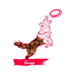 Calibra Dog Expert Nutrition Energy 7 Calibra Dog Expert Nutrition Energy -Hundebedarfs Geschäft calibra dog expert nutrition energy 163534 0500 none