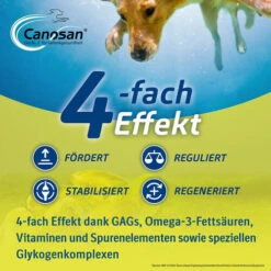 Canosan® Kautabletten Für Hunde 14 Canosan® Kautabletten Für Hunde -Hundebedarfs Geschäft canosan kauwtabletten voor hond 213641 0500 none