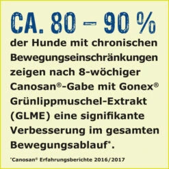 Canosan® Kautabletten Für Hunde 16 Canosan® Kautabletten Für Hunde -Hundebedarfs Geschäft canosan kauwtabletten voor hond 213647 0500 none