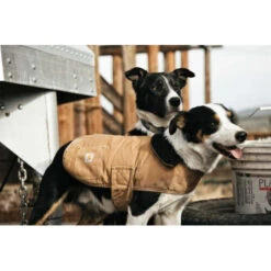 Carhartt Dog Chore Coat -Hundebedarfs Geschäft carhartt dog chore coat 186748 0500 none