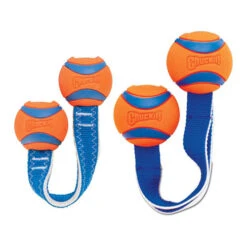 Chuckit! Ultra Duo Tug -Hundebedarfs Geschäft chuckit ultra duo tug 122957 0500 none