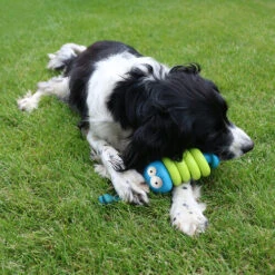 Coockoo Larry -Hundebedarfs Geschäft coockoo larry 216712 0500 none