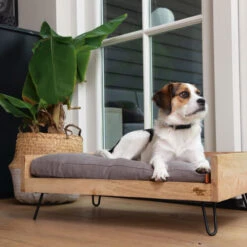 Designed By Lotte Hundebett Turana -Hundebedarfs Geschäft designed by lotte ligmand turana 170032 0500 none