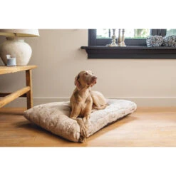 Designed By Lotte Xanti Hundekissen -Hundebedarfs Geschäft designed by lotte xanti hondenkussen 188124 0500 none