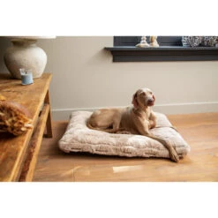 Designed By Lotte Xanti Hundekissen -Hundebedarfs Geschäft designed by lotte xanti hondenkussen 188127 0500 none