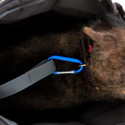 Doctor Bark Hundetragetasche -Hundebedarfs Geschäft doctor bark honden draagtas 202157 0500 none