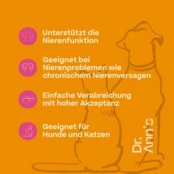 Dr. Ann's Kidney Support -Hundebedarfs Geschäft dr anns kidney support 217502 0500 none