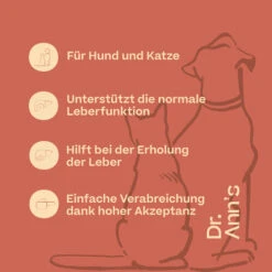 Dr. Ann's Liver Support -Hundebedarfs Geschäft dr anns liver support 220417 0500 none