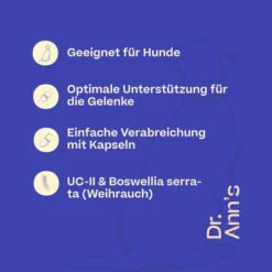 Dr. Ann's Mobility Support Advanced 11 Dr. Ann's Mobility Support Advanced -Hundebedarfs Geschäft dr anns mobility support advanced 213137 0500 none