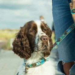 DWAM Halsband Boho Juan -Hundebedarfs Geschäft dwam halsband boho juan 133658 0500 none