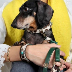 DWAM Halsband Ivy -Hundebedarfs Geschäft dwam halsband ivy 180688 0500 none