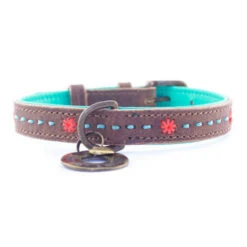 DWAM Halsband Joplin -Hundebedarfs Geschäft dwam halsband joplin 122933 0500 none