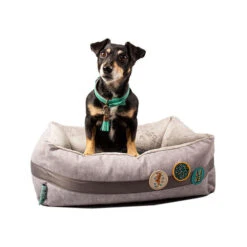 DWAM Jungle Love Korb -Hundebedarfs Geschäft dwam jungle love mand 186595 0500 none