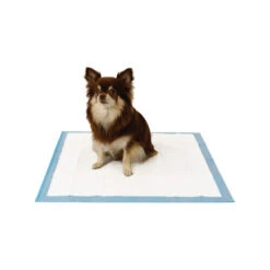 Easypets Trainingpads -Hundebedarfs Geschäft easypets trainingspads 184186 0500 none