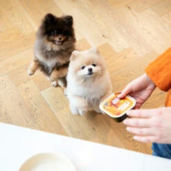 Edgard & Cooper Adult - Huhn & Truthahn - Im Schälchen 7 Edgard & Cooper Adult - Huhn & Truthahn - Im Schälchen -Hundebedarfs Geschäft edgard cooper adult kip kalkoen kuipje 168597 0500 none