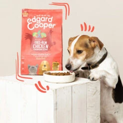 Edgard & Cooper Senior - Huhn & Lachs -Hundebedarfs Geschäft edgard cooper senior kip zalm 168336 0500 none