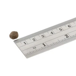 Fish4Dogs Finest Adult Complete - Lachs Kleine Brocken 7 Fish4Dogs Finest Adult Complete - Lachs Kleine Brocken -Hundebedarfs Geschäft fish4dogs finest adult complete zalm kleine brok 160949 0500 none