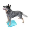 FitPAWS Balance Ramp -Hundebedarfs Geschäft fitpaws balance ramp 176140 0500 none