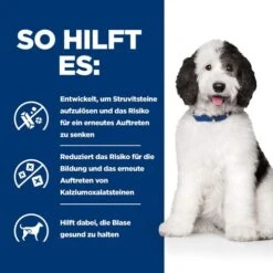 Hill's C/d Urinary Care - Prescription Diet - Canine -Hundebedarfs Geschäft hills cd urinary care prescription diet canine 217894 0500 none
