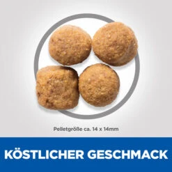 Hill's Science Plan - Adult - Large - Lamm -Hundebedarfs Geschäft hills science plan adult large lamb 218818 0500 none