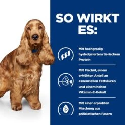 Hill's Z/d Food Sensitivities - Prescription Diet - Canine -Hundebedarfs Geschäft hills zd food sensitivities prescription diet canine 214322 0500 none