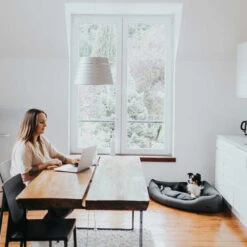 Hunter Eckkorb Livingstone - Grau -Hundebedarfs Geschäft hunter hoekmand livingstone grijs 175903 0500 none