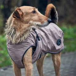 Hunter Hundemantel Uppsala 17 Hunter Hundemantel Uppsala -Hundebedarfs Geschäft hunter hondemantel uppsala taupe 165685 0500 none