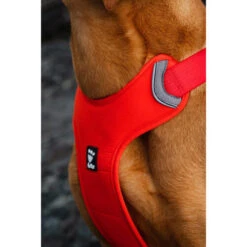 Hurtta Weekend Warrior Eco Geschirr -Hundebedarfs Geschäft hurtta weekend warrior eco harness 189136 0500 none
