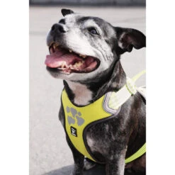 Hurtta Weekend Warrior Geschirr -Hundebedarfs Geschäft hurtta weekend warrior harness 189093 0500 none