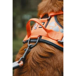 Hurtta Weekend Warrior Geschirr -Hundebedarfs Geschäft hurtta weekend warrior harness 189096 0500 none