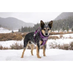 Hurtta Weekend Warrior Geschirr -Hundebedarfs Geschäft hurtta weekend warrior harness 189111 0500 none