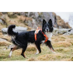 Hurtta Weekend Warrior Geschirr -Hundebedarfs Geschäft hurtta weekend warrior harness 189123 0500 none