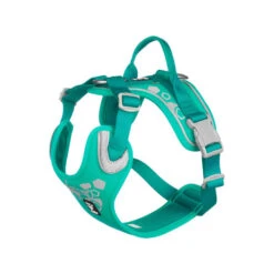 Hurtta Weekend Warrior Geschirr -Hundebedarfs Geschäft hurtta weekend warrior harness 203807 0500 none