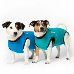 Jacketz Medical Body Suit Für Hunde -Hundebedarfs Geschäft jacketz medical body suit hond 209516 0500 none