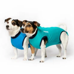 Jacketz Medical Body Suit Für Hunde -Hundebedarfs Geschäft jacketz medical body suit hond 209519 0500 none