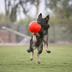 Jolly Soccer Ball -Hundebedarfs Geschäft jolly soccer ball 162241 0500 none