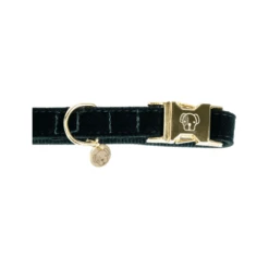 Kentucky Dogwear Corduroy Hundehalsband -Hundebedarfs Geschäft kentucky dogwear corduroy hondenhalsband 219195 0500 none