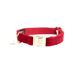 Kentucky Dogwear Corduroy Hundehalsband -Hundebedarfs Geschäft kentucky dogwear corduroy hondenhalsband 219198 0500 none