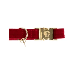 Kentucky Dogwear Corduroy Hundehalsband -Hundebedarfs Geschäft kentucky dogwear corduroy hondenhalsband 219199 0500 none