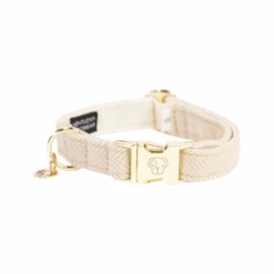Kentucky Dogwear Hundehalsband Wool 24 Kentucky Dogwear Hundehalsband Wool -Hundebedarfs Geschäft kentucky dogwear hondenhalsband wool 219698 0500 none