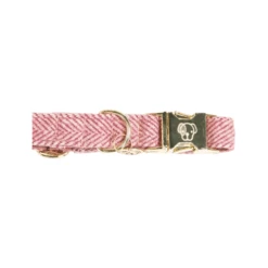 Kentucky Dogwear Hundehalsband Wool 30 Kentucky Dogwear Hundehalsband Wool -Hundebedarfs Geschäft kentucky dogwear hondenhalsband wool 219709 0500 none