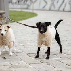 Kentucky Dogwear Hundejacke Teddy Fleece 9 Kentucky Dogwear Hundejacke Teddy Fleece -Hundebedarfs Geschäft kentucky dogwear hondenjas teddy fleece 219186 0500 none