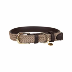 Kentucky Dogwear Nylon Hundehalsband -Hundebedarfs Geschäft kentucky dogwear nylon hondenhalsband 219176 0500 none