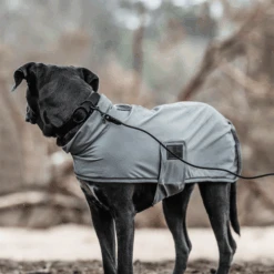 Kentucky Dogwear Soft Rubber Hundehalsband 11 Kentucky Dogwear Soft Rubber Hundehalsband -Hundebedarfs Geschäft kentucky dogwear soft rubber hondenhalsband 219265 0500 none