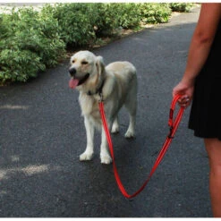 KONG Adjustable Leash -Hundebedarfs Geschäft kong adjustable leash zwart 176938 0500 none