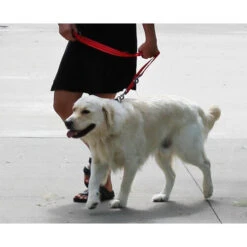 KONG Adjustable Leash -Hundebedarfs Geschäft kong adjustable leash zwart 176941 0500 none